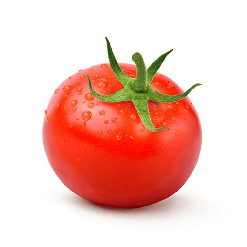 עגבניה