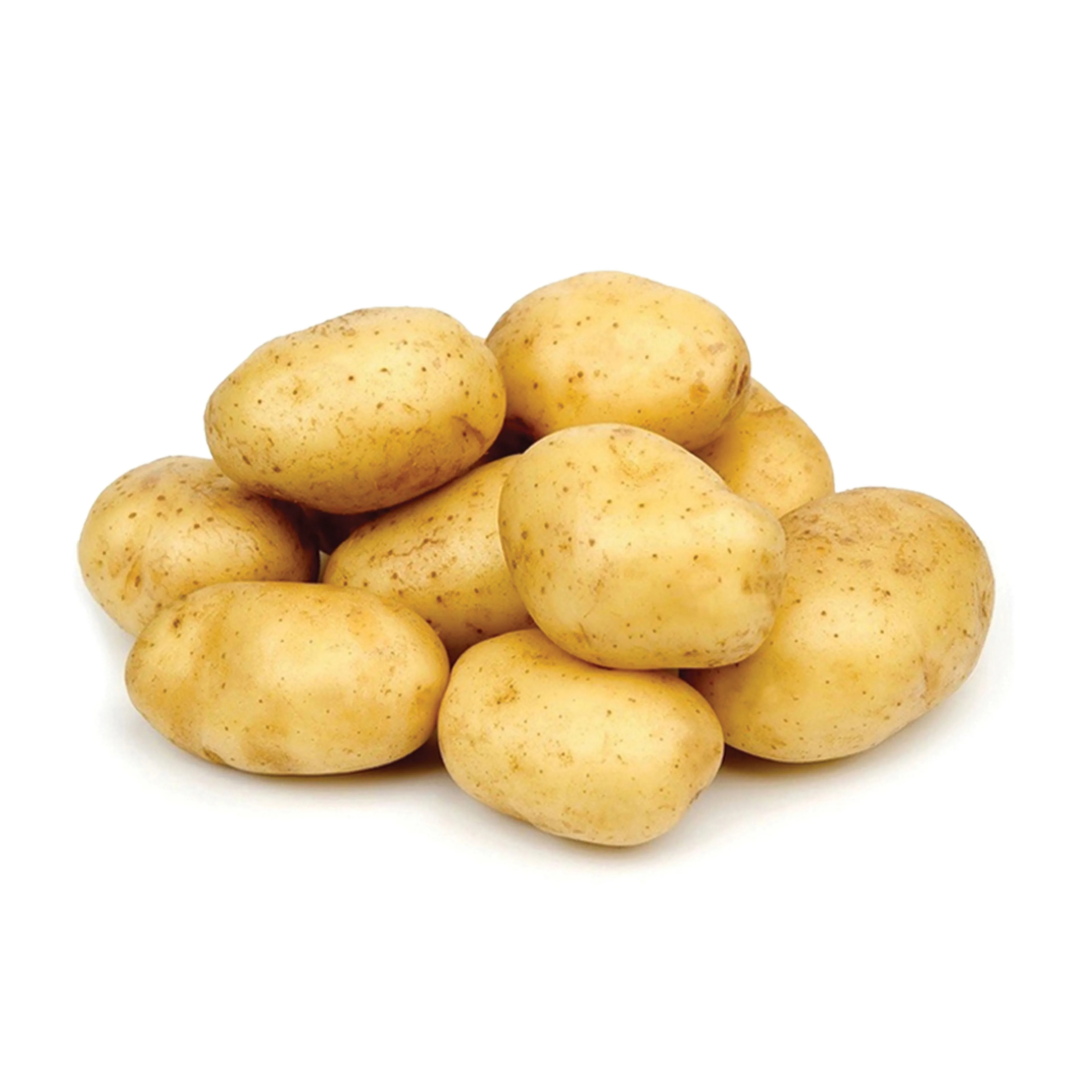 بطاطا